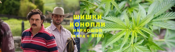 прущая мука Богданович